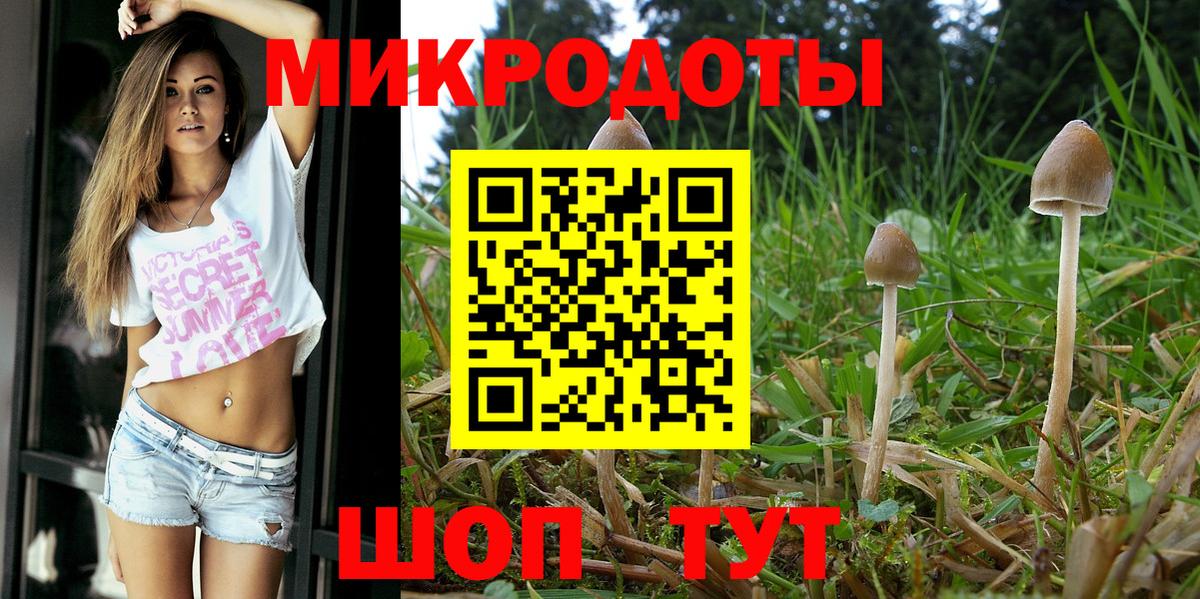 Псилоцибиновые грибы мицелий  Вход с VPN  Псилоцибиновые грибы Psilocybe  Астрахань 